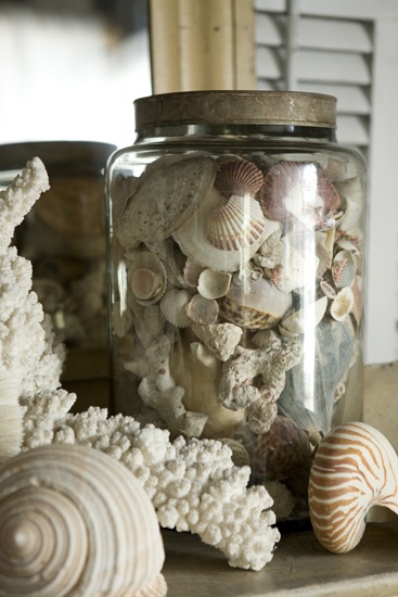 Shell details in a vintage looking glass jar