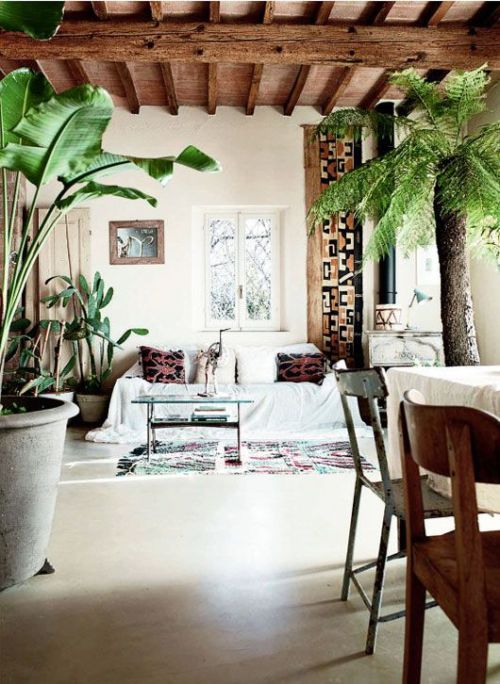 Beautiful, open trpoical living space with lush, green plants
