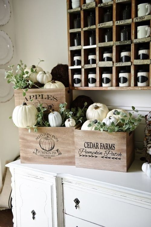 Festive fall decor in the kitchen with plenty of pumpkins