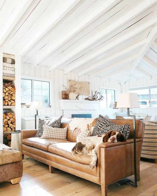 Coastal living room with a cute pup taking a much needed snooze